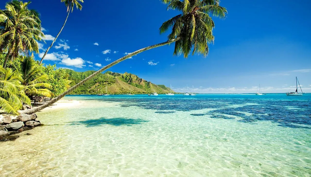 Hono Koa Vacation Club Aparthotel Lahaina